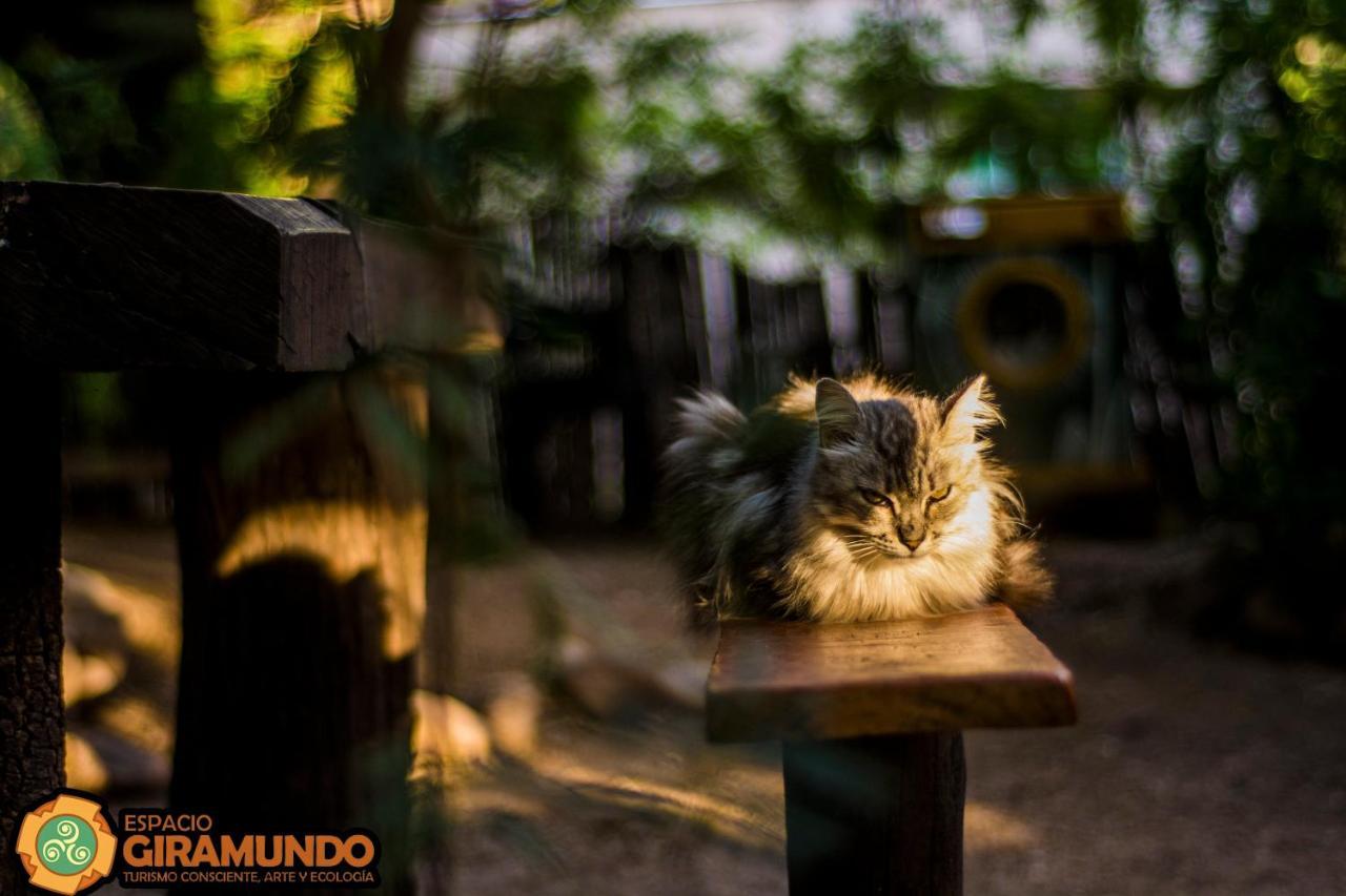 Hostel Eco Cultural Giramundo San Marcos Sierra Dış mekan fotoğraf